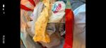 Winnie the Pooh & Peter Rabbit Baby/Toddler Outfit Bundle Bodysuit Jacket