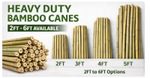 Heavy Duty Bamboo Canes 2ft–6ft Garden Plant Support Stakes Thick Strong Sticks