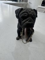 The Leonardo Collection Pug Dog Figurine Resin Ornament Statue 2009 Black Dog