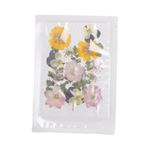 100 Pcs Pressed Dried Flower Beautiful Real Pressed Flower Set For Crafts