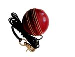 The V - Replacement Junior Red Ball