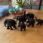 Collection of vintage/antique ebony elephants. 6 in total . Bone ebony ? Tusks