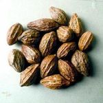 Whole Harde Terminalia Chebula | Haritaki | Black Myrobalan Free UK P&P 50g-1kg