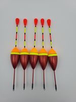 5PCS Long Tail Fishing Floats Set, 4.5g Buoyancy Fishing Bobber, Carp Fishing...