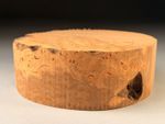 Burr Elm Wood Turning Bowl Blanks 8x2.5 inch 1.4 KG