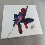 Stan Lee Autograph Signed 19.5 Inch x19.5 Inch Canvas SPIDER MAN MARVEL