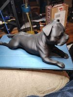 STAFFORDSHIRE BULL TERRIER "FROGDOG" POSE