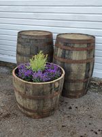 LARGE 50CM TALL OAK HALF BARREL TREE SHRUB BUSH FLOWER GARDEN PLANTER POT CASK