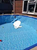 12ft Above-Ground Swimming Pool Sand Filter Pump