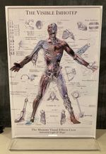 The Mummy IMOTEP Display rare industrial light and magic 1999 rare 