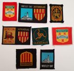 8 x North East Regions Boy Scouts District Badges Patches Whitley Bay Benton Etc