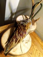 Handmade Gundog Training Pheasant Wings Dummy 180-230g