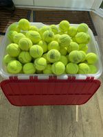 15 used tennis balls for dogs
