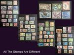 Great Stamp Collection From The British Colonies - All The Stamps Are Different