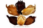 A Grade Cock,Rooster Capes All shades of Brown,Furnace,honey,ginger capes