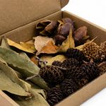 Aquarium Botanical Starter+ Box - Indian Almond Leaves, Cones, Pods, Blackwater