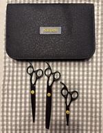 Kanpeki Blackbird Scissor Set