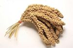 1kg Yellow Millet Spray Seeds – Budgies, Finches, Canaries, Sparrows, Doves