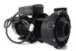 Hot Springs Wavemaster 0977601-03 LX LP300 3.0hp 1 Speed 10A 230V Hot Tub Jet...