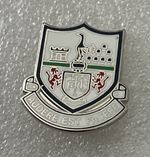 Collectable Tottenham Hotspur Supporter Enamel Badge Wear Proud - Spurs