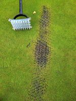 BMS Static seed slotter, over seeding tool for lawns