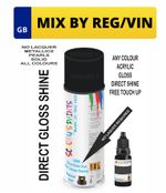 Spray Aerosol Paint Mixed By Car Registration Reg Vin Plate Number Direct Gloss