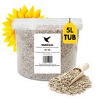 Sunflowers Heart Seeds for Garden Birds - Premium Wild Bird Food Tub