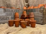 Set of 6 hand thrown vintage antique terracotta seedling plant pots