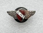VTG OLD RARE CLUB ATLETICO INDEPENDIENTE BUTTONHOLE BADGE PIN ABZEICHEN SPORT