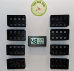 Magnetic holder / casing for thermometer and hygrometer. Jumping spider, mantis