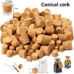 Various sizes Tapered Cork Plugs Suitable for Most Wine and Beer Bottle