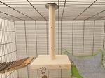 Hanging Pole (21cm) & Platform + Hooks - Pet Cage Accessories, Enrichment Rat