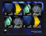 Micronesia: Batfish, Orbicular Batfish, Platax Orbicularis, **