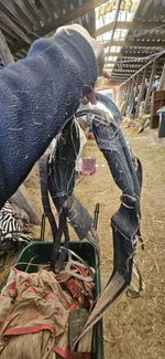 Horse Roller
