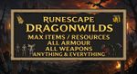 🔥All Runescape Dragonwild Items🔥 Complete
