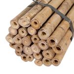 Strong Heavy Duty Professional Bamboo Plant Support Garden Canes | 2ft - 6ft