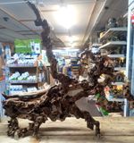 Gnarly Scapers Wood Aquarium Vivarium Natural Driftwood Bogwood 