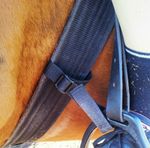 Pair STIRRUP to GIRTH STRAPS lower leg training aid, adjustable, all colours