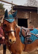 LeMieux Loire Blue Quilted Saddle Pad, ear bonnet, hat cover and boots