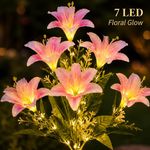 Solar Lily Flower Lights Outdoor Waterproof LED Garden Pathway Light Decoration.