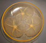 Rent Lalique Art Deco Amber Glass Bowl Volubilis Marcilhac 383