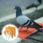 2Pcs Pigeon House Door Pigeon Supplies for Flying Pigeon