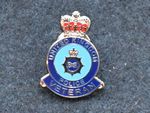 EXCLUSIVE  LAPEL BADGE  VETERAN  POLICE OFFICER U.K.
