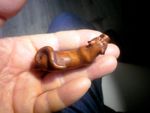 Hand Carved wood netsuke tiger walking on the prowl collectable boxwood