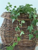 Unusual necked oval wicker  basket vintage 