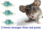 Strong Rat Poison Single Feed Rat & Mouse Killer  Poison Bait Pasta 0.3kg