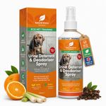 PEE WEE URINE STOP DEODORISER DETERRENT TRAINING CATS DOGS Stops Repeat Marking