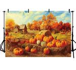 Thanksgiving Harvest Festival Background Autumn Backdrop Pumpkin 7x5 Baby Party