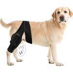 Adjustable Dog Pet Knee Brace Support for Cruciate Ligament Injury Joint Pain