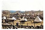 ptc2258 - Lancs. - Horses at Territorial Army Camp, Edgworth in 1914 - print 6x4